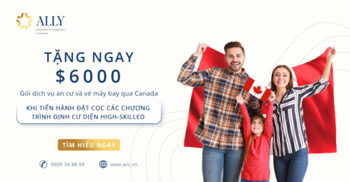 Dinh cu Canada ALLY banner promotion