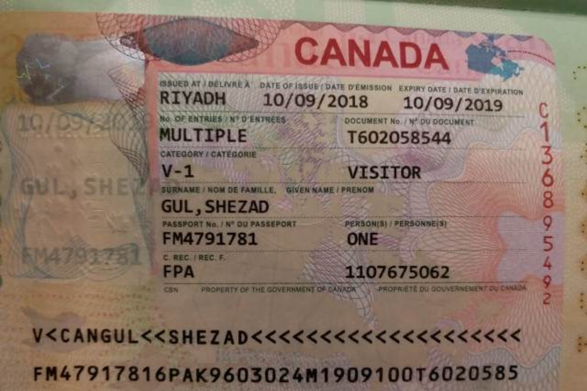 Visitor visa. Канадская виза. Виза в Канаду. Канадская виза Visitor visa. Виза в Канаду work.